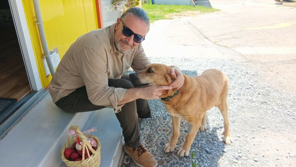 giorgos tsaousis vagioxori